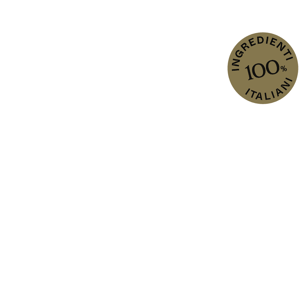 MARGHERITA a bordo alto